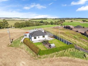 Photo 37- click for photo gallery